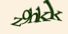 Tekshiruvchi kod