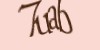 Tekshiruvchi kod